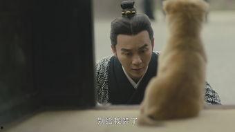 国产男人的天堂